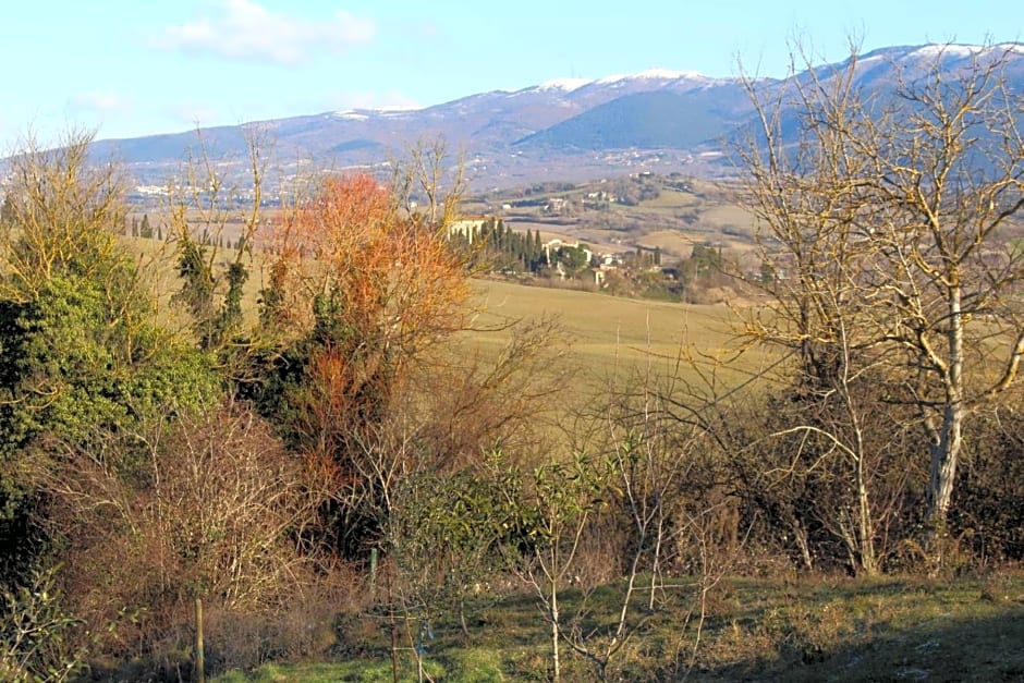 Il poggio del tartufo