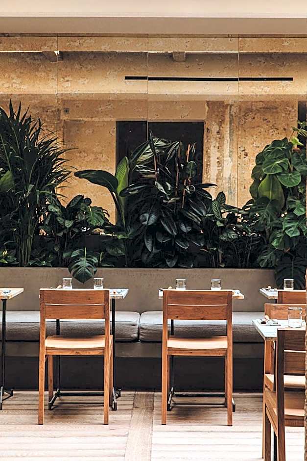 HOY Paris - Yoga Hotel