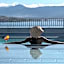 ibis Styles Ajaccio Napoleon