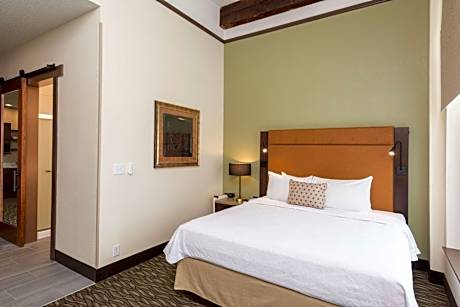 1 King Bed 1 Bedroom Suite Nonsmoking