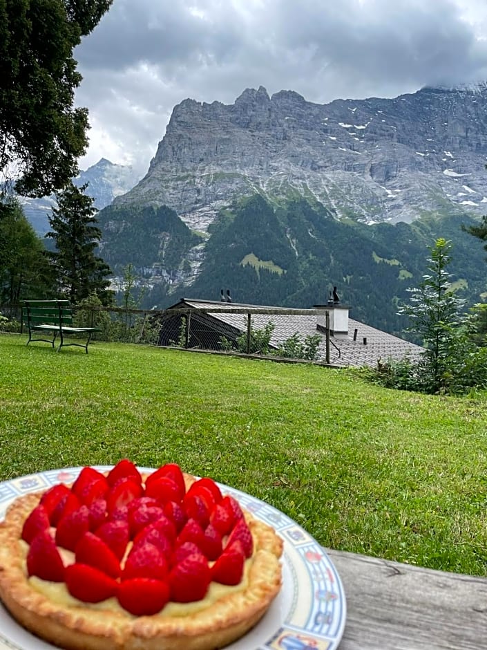 Eiger View Alpine Lodge