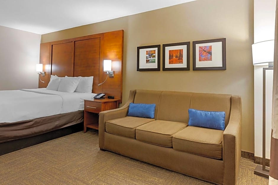 Comfort Inn & Suites Presidential