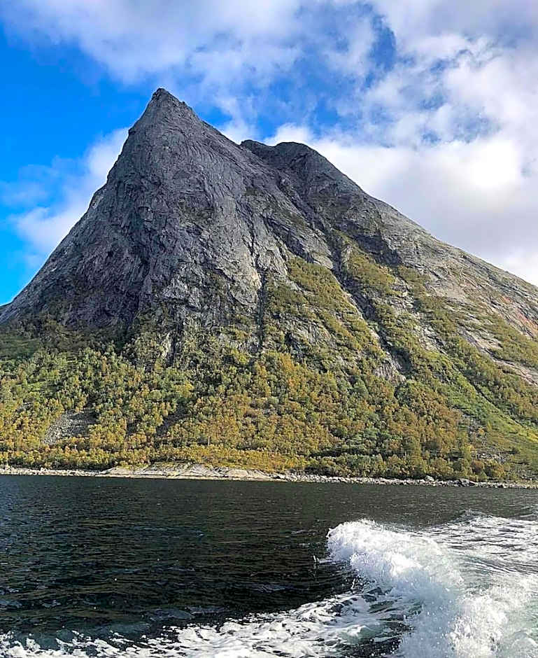 Senja Living