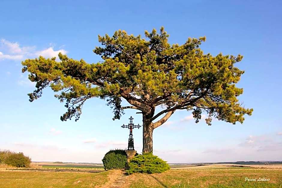 auberge du pied des monts