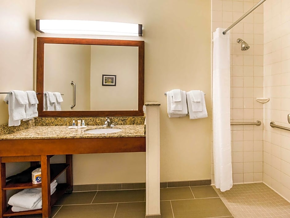 Comfort Suites Normal University area