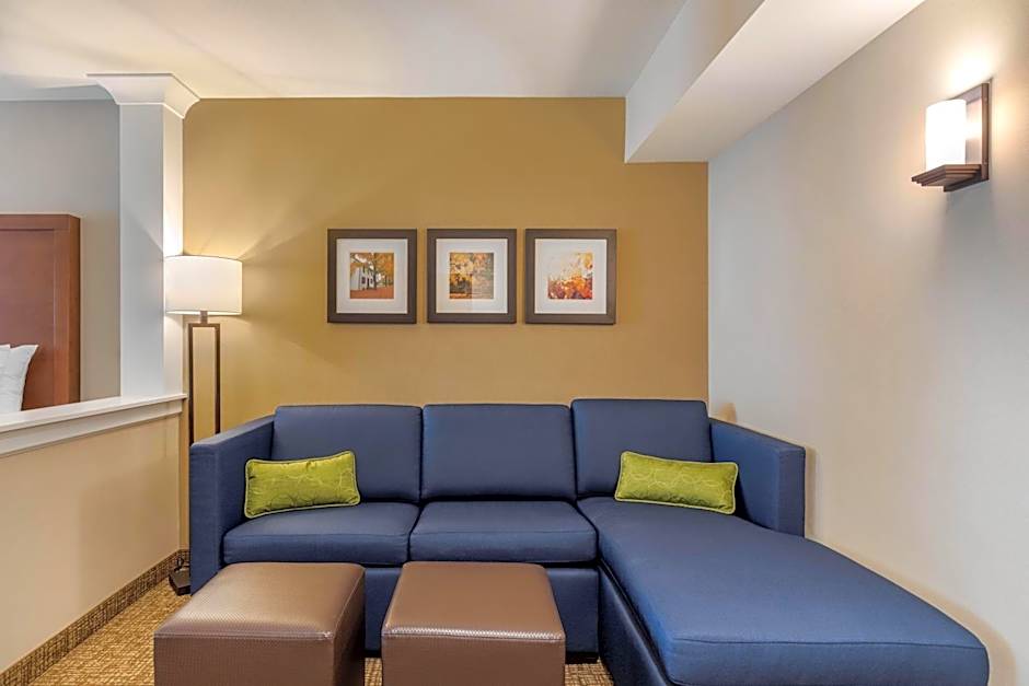 Comfort Inn & Suites Schenectady - Scotia