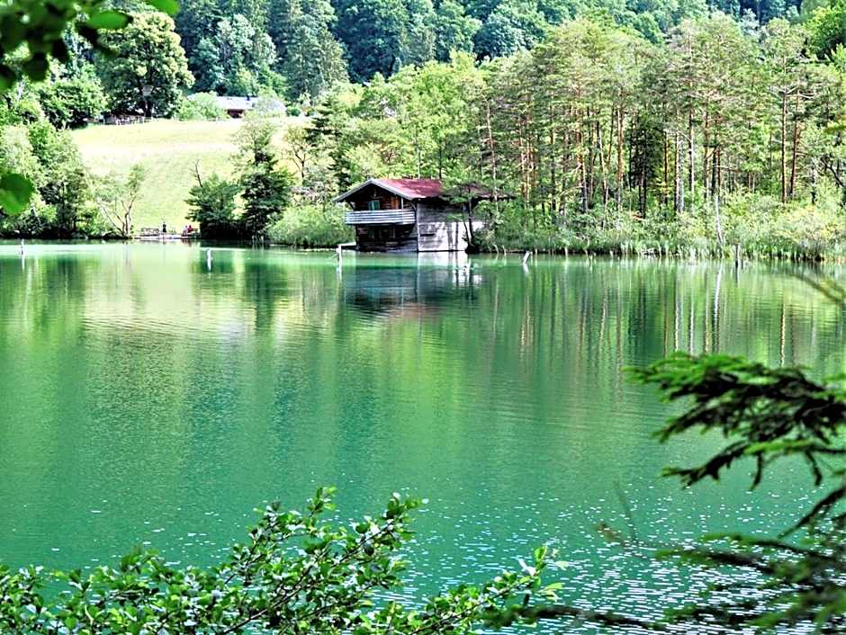 Pension Almhof Baumgarten