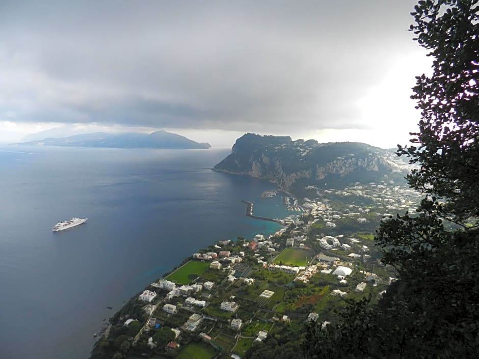 Capri Dreaming