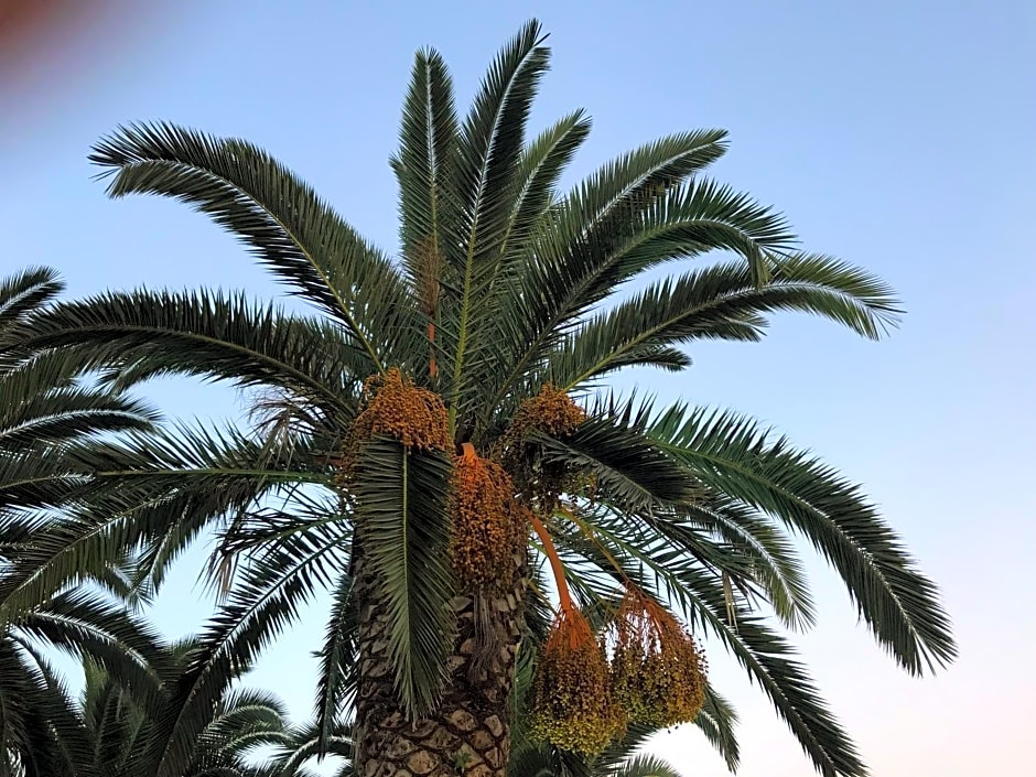 Marinis Boutique Rooms