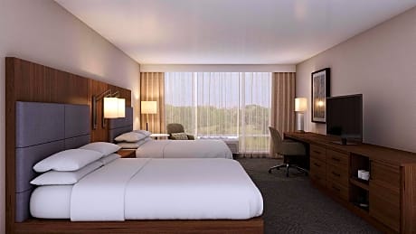 2 Qn Bed Hear Acc Ris