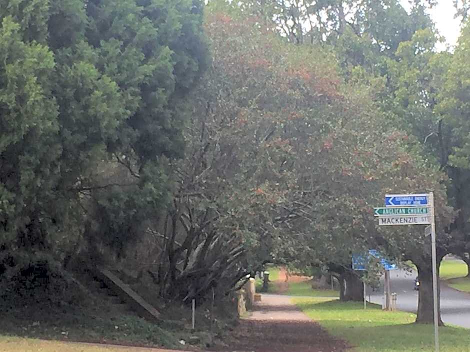 Blue Violet Motor Inn