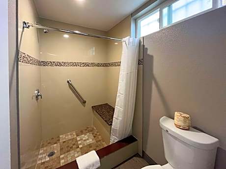 King Room with Roll-In Shower - Disability Access
