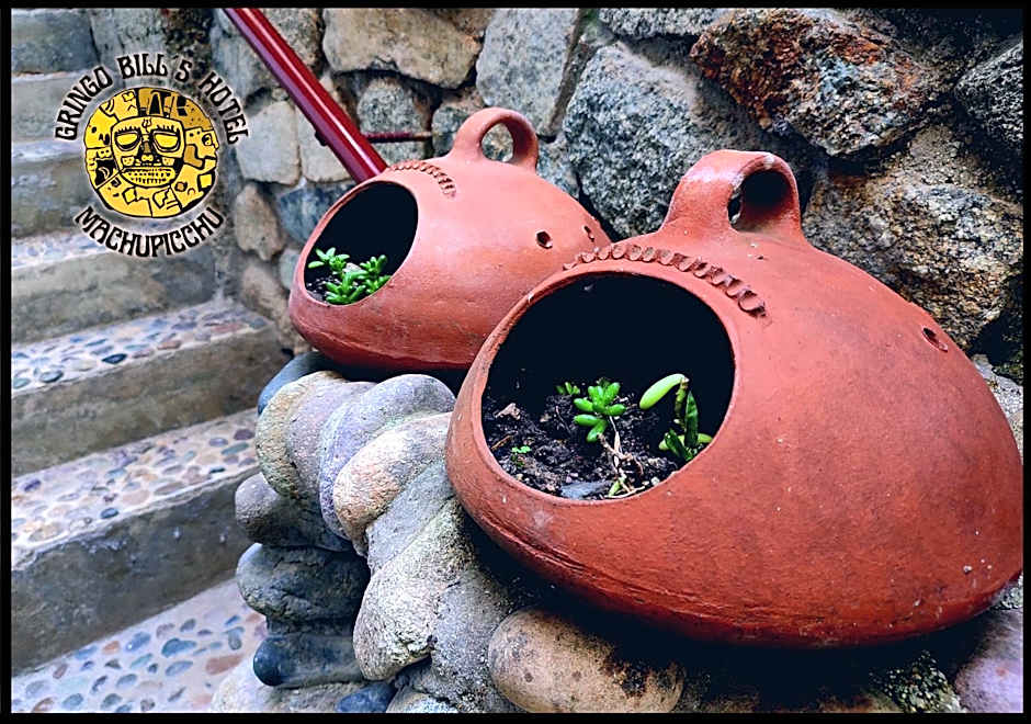 Gringo Bill's Boutique Hotel