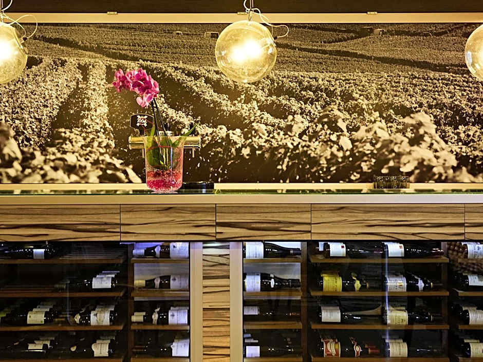 ibis Chalon-sur-Saone Europe