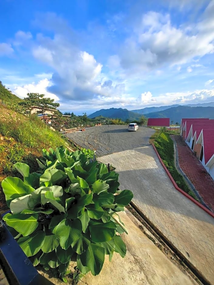KUNDASANG MOUNT GARDEN