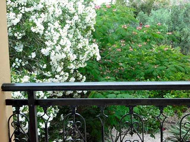 Summer Memories Aparthotel