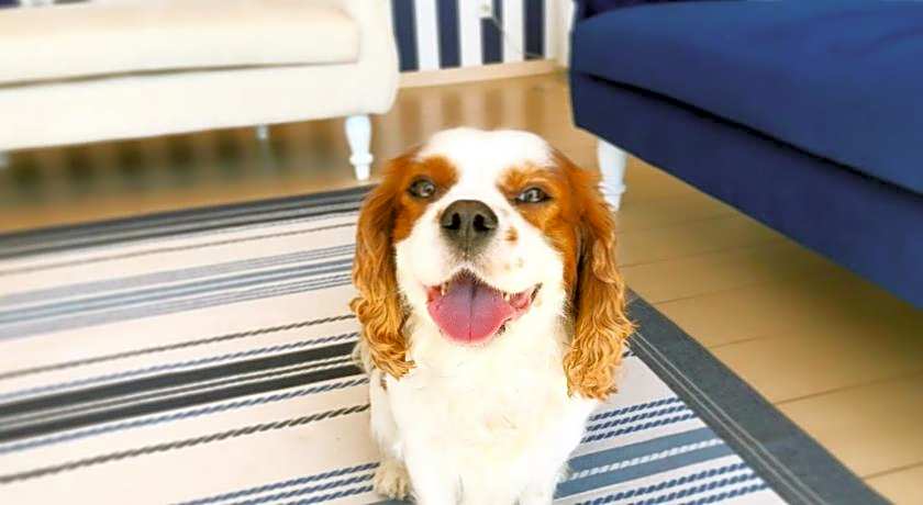 Marine House KAKISAKI