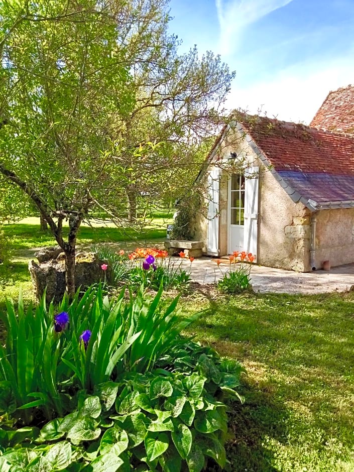 Villandry - Domaine de l'Augeonnière