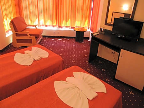 Double or Twin Room (2 Adults + 1 Child)
