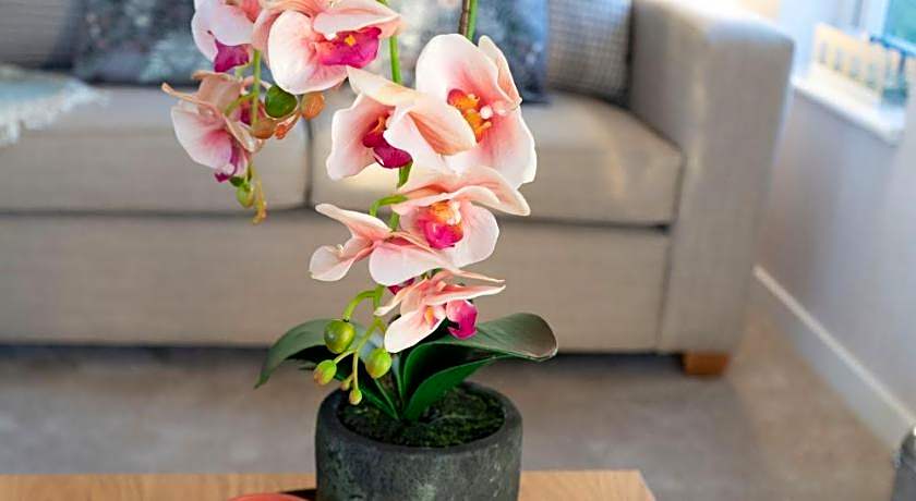 Hollicarrs - Bluebell Lodge