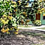 Tony's Guesthouse