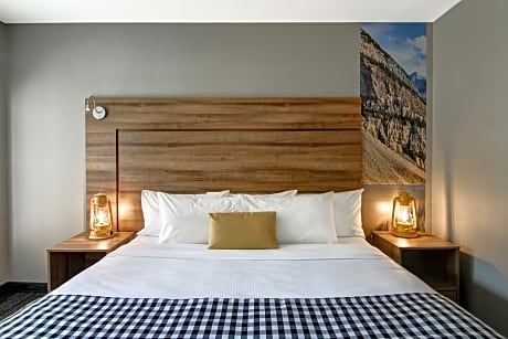 Room Single King - Standard