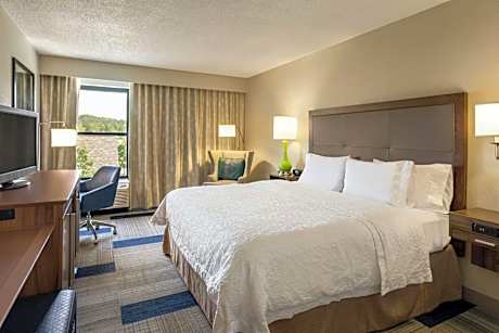 1 King Bed Nonsmoking