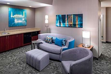 One-Bedroom Deluxe King Suite with Sofa Bed