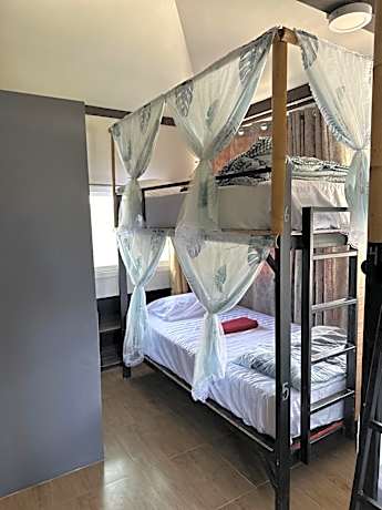 Bed in 6-Bed Mixed Dormitory Room