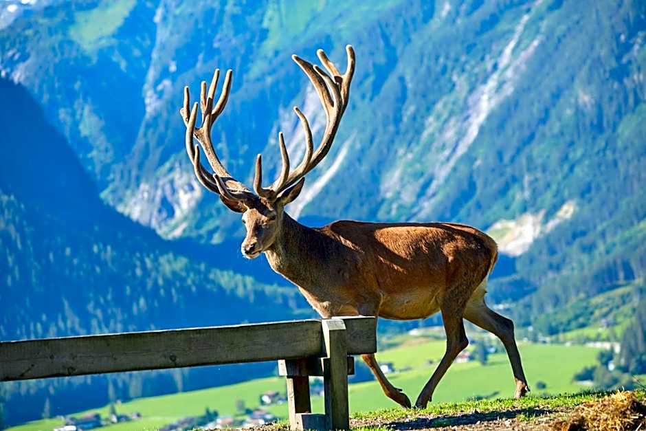 Hotel Gasthof Abelhof