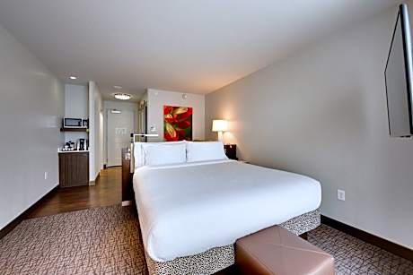 Premium King Room