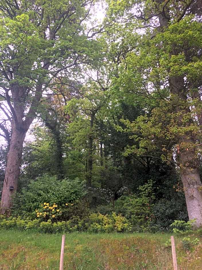 Claremont House Keswick