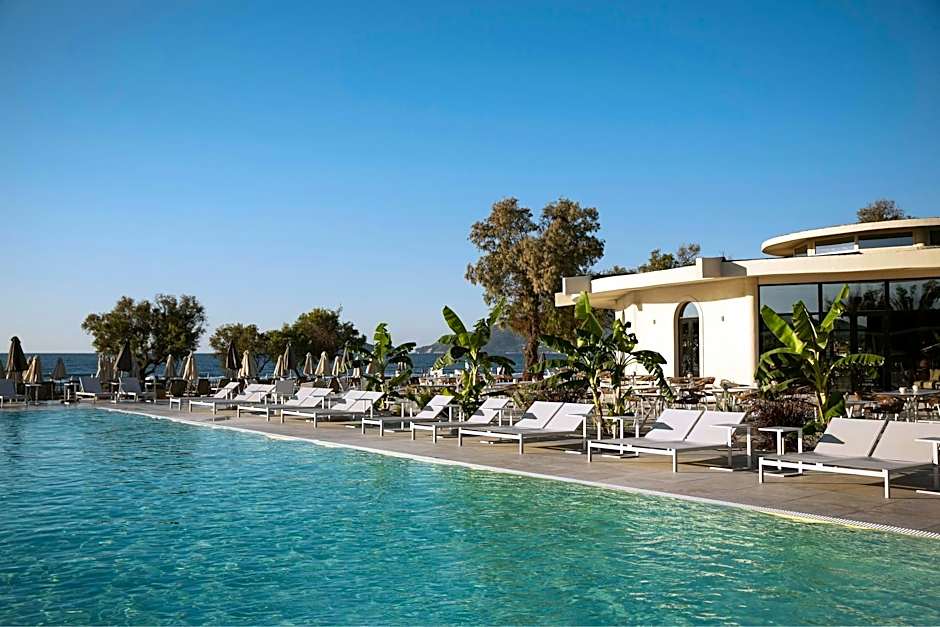 Domes Aulus Zante, Autograph Collection