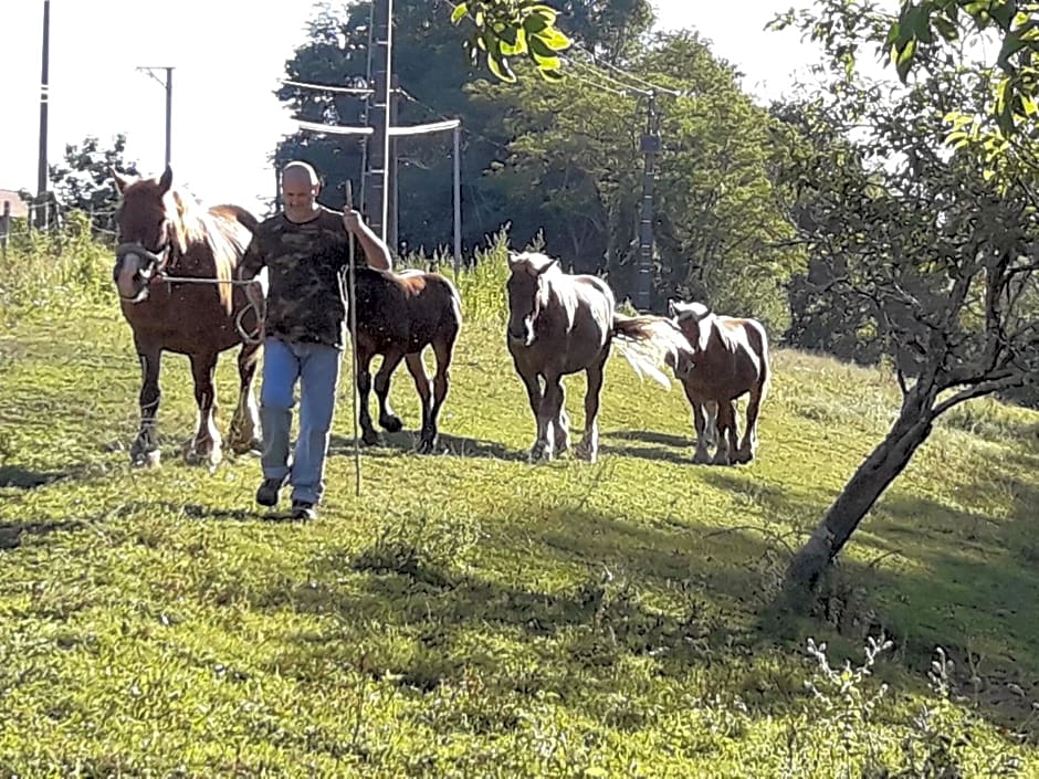 Chambres d hotes AZKENA