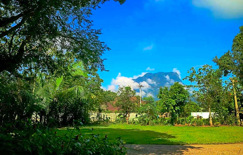 Chiang Dao Reset