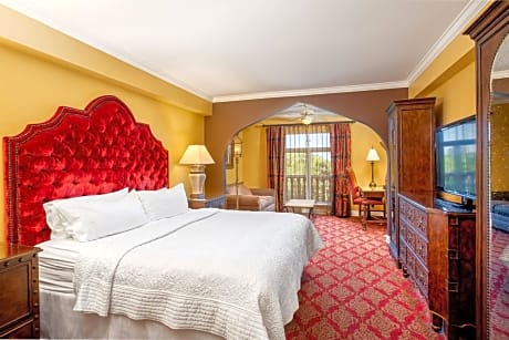 premium room, 1 king bed