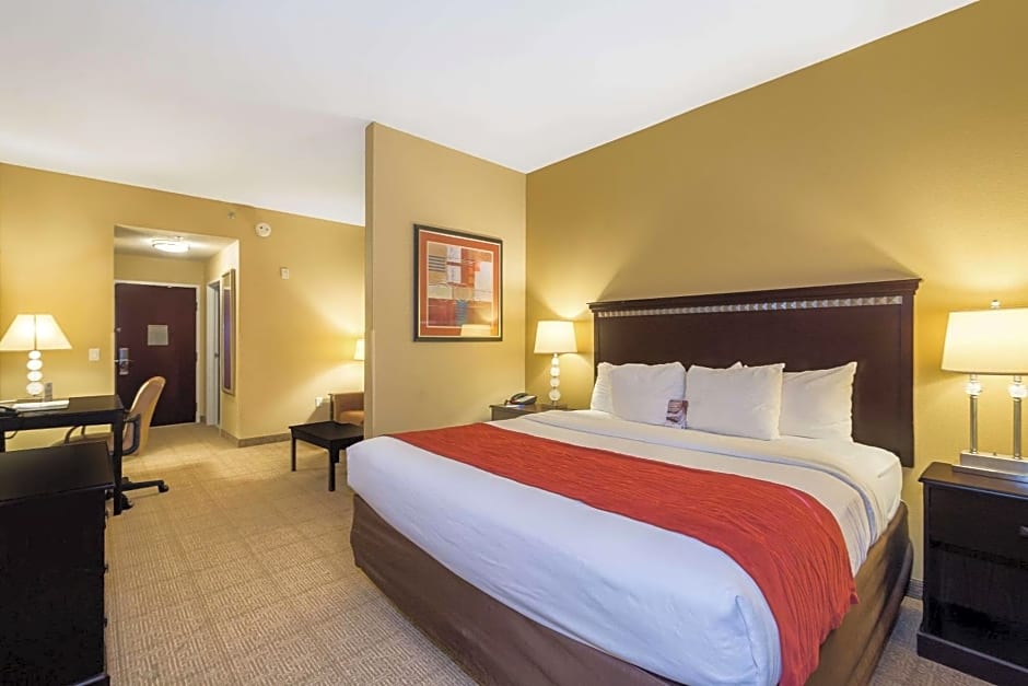 Photo 1 of 5 of King Suite with Sofa Bed