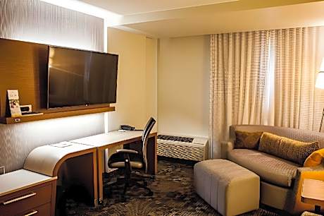 Suite, 1 King, Sofa bed