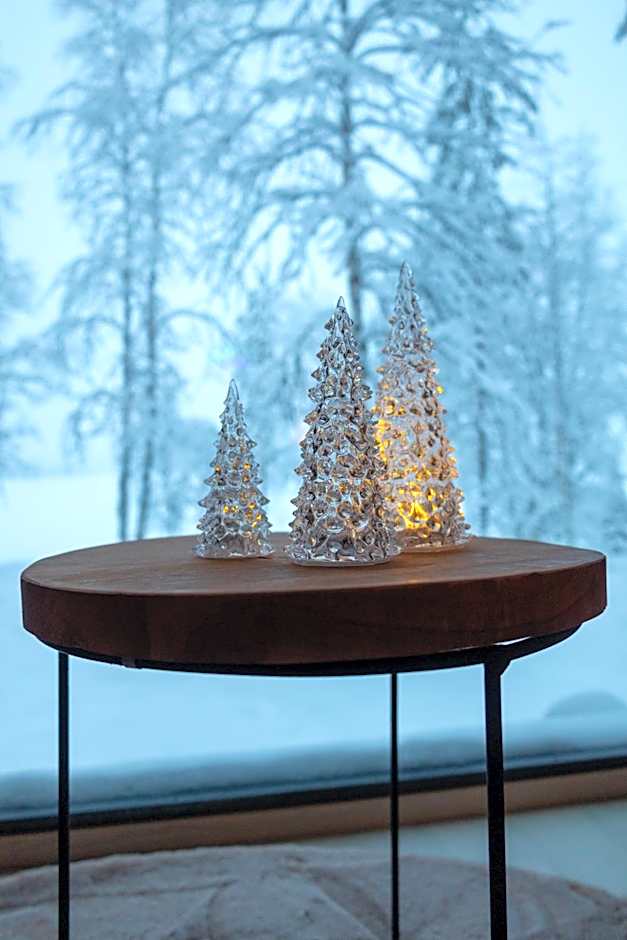 Skyfire Village Igloos