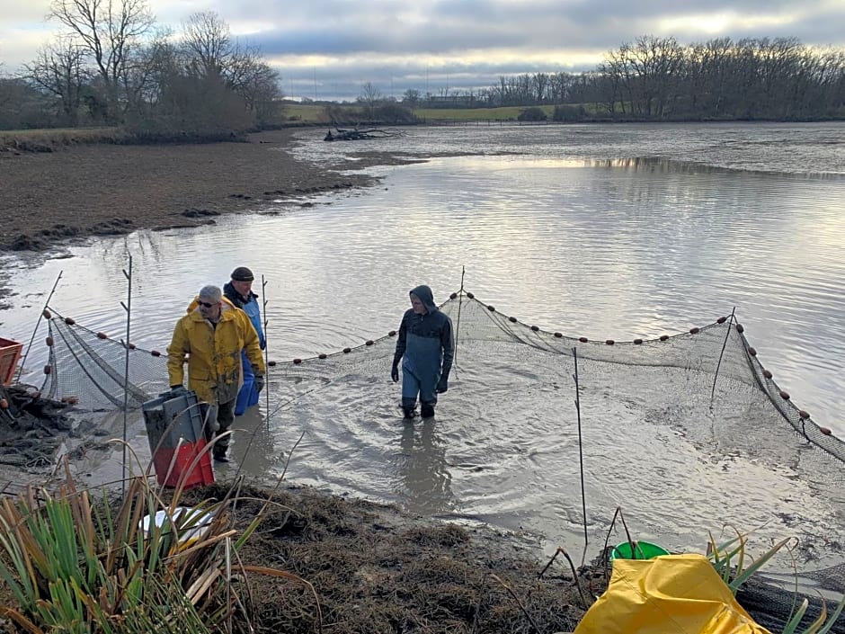 Chambres d hôte à la ferme des Buttons, chambre Iris
