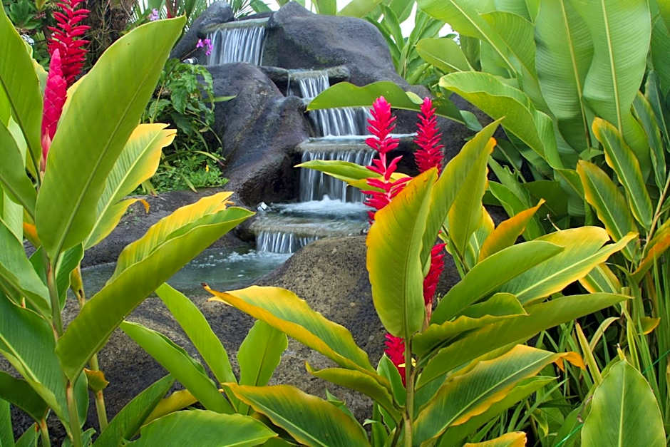 Volcano Lodge, Hotel & Thermal Experience