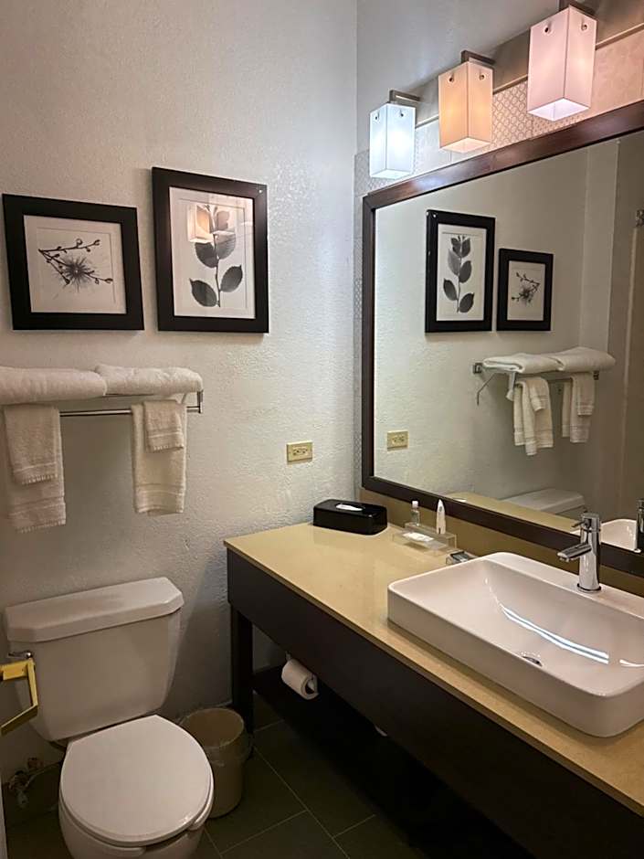 Country Inn & Suites by Radisson, Elgin, IL