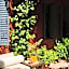 BE Jardin Escondido By Coppola