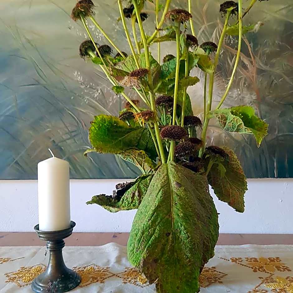 Pokoje Gościnne Art- Dworek
