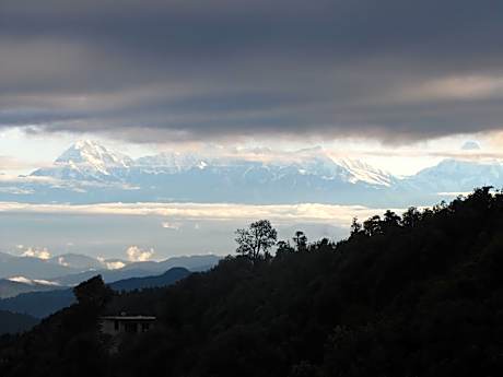 Te Aroha By Shervani