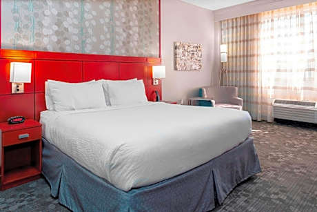 One-Bedroom King Suite