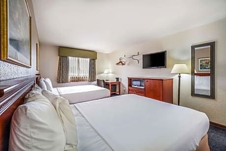 1 Queen Bed