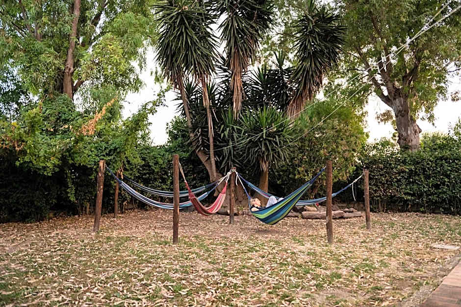 Escuelita Viva