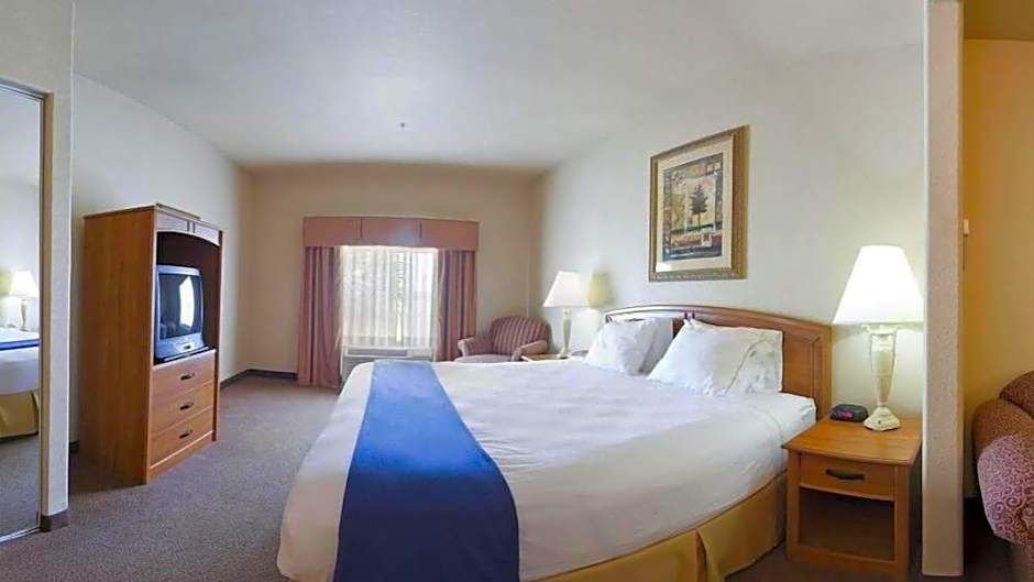 Holiday Inn Express Hotel & Suites Mission-McAllen Area By IHG