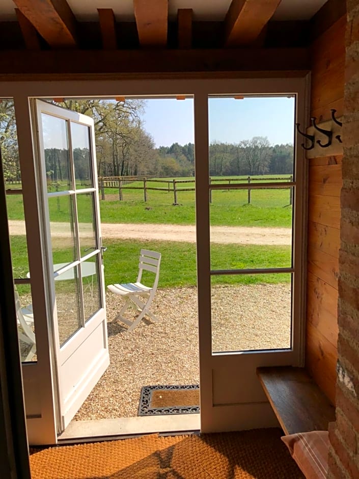 haras du Vignault Le Bûcher